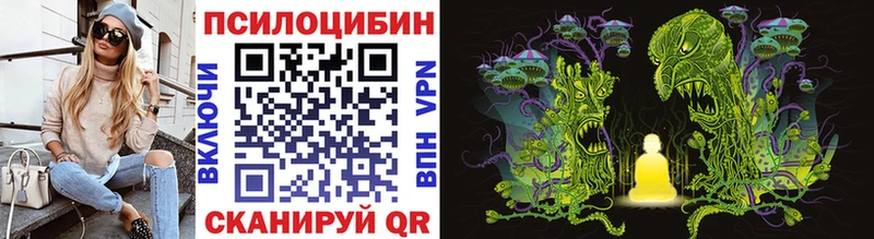Псилоцибиновые грибы Psilocybe где можно купить наркотик ОМГ ОМГ зеркало Альметьевск